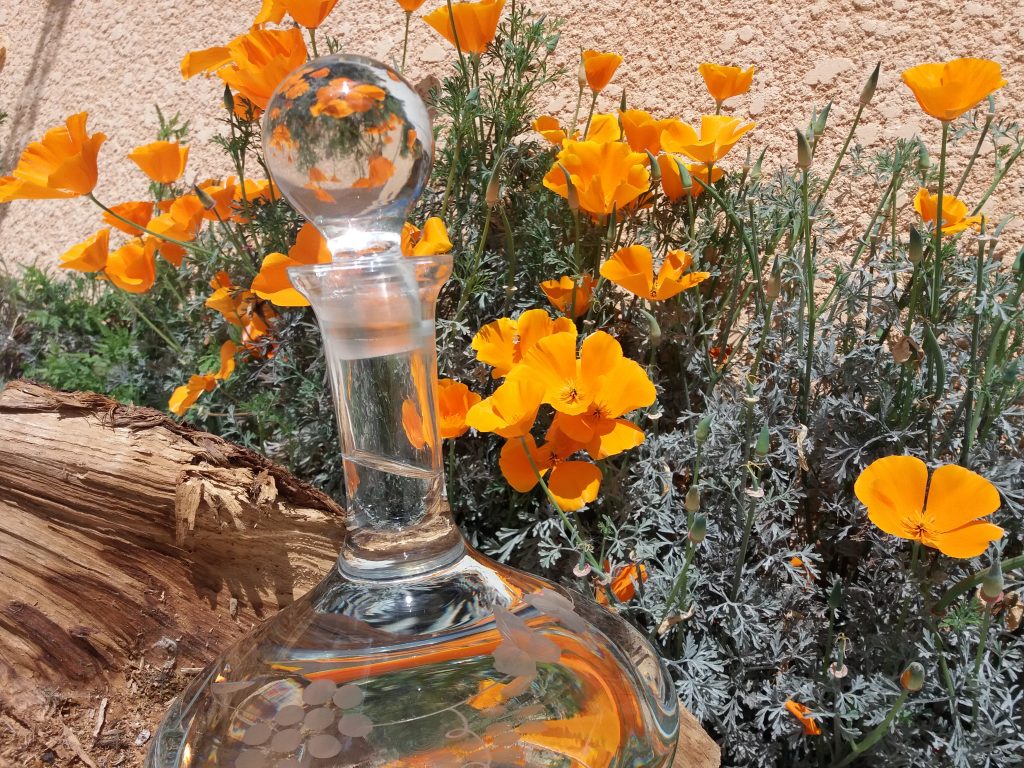 Image boire en conscience