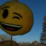 Image cultiver l'émotion