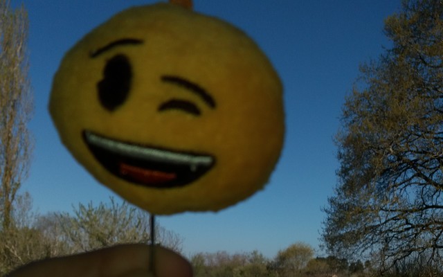 Image cultiver l'émotion