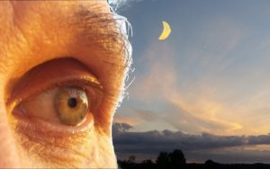 image observation