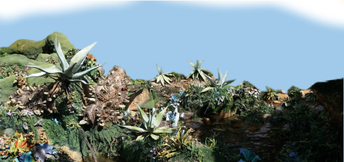 Image composition
