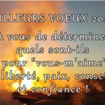 Photo paysage fumée des geysers Islande