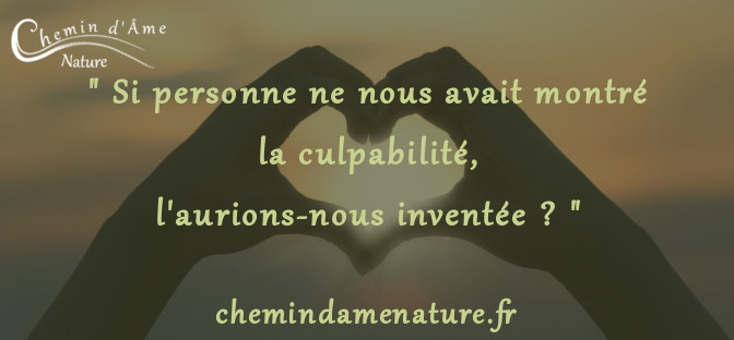 Pourquoi Culpabilisons Nous Chemin D Ame Nature