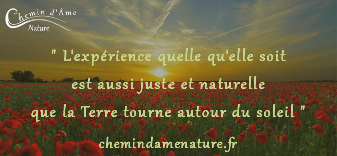 Doute Jugement Culpabilite Chemin D Ame Nature