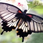 Comment faire le bilan d'un projet