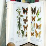 Livre à lire en ce moment