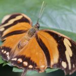 Comment reconnaître un adulte au comportement infantile ?