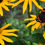 Qu'est-ce que l'autorité pour vous ?