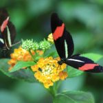 Comment savoir si une personne est digne de confiance ?