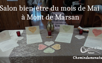 photo du salon bien-être de mai 2024 à Mont de Marsan